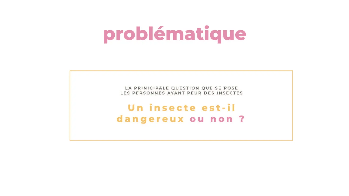 Écran Application Bug 4