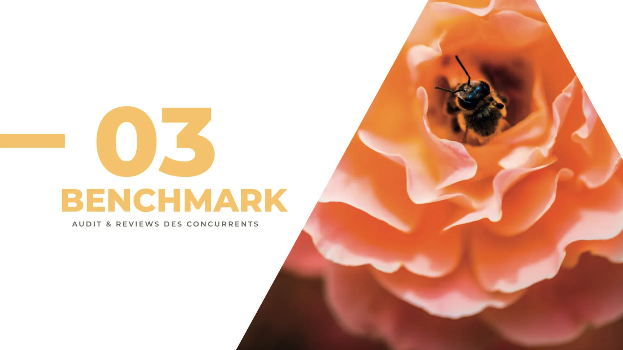Écran Application Bug 14